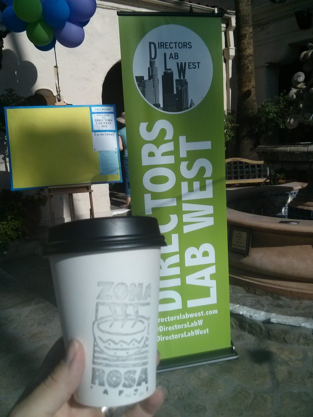 Ch-Ch-Ch-Changes: my involvement with Directors Lab West